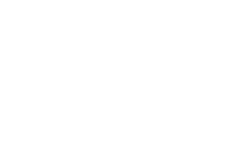 公司及资本市场