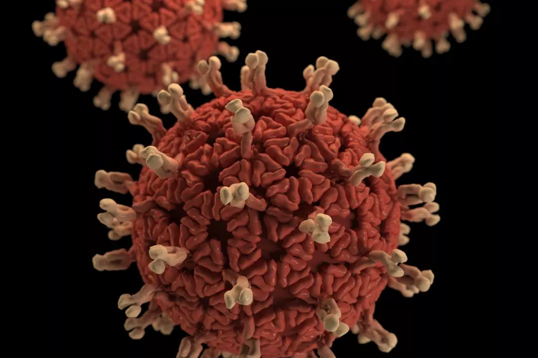 COVID-19 Epidemic PRC Regs